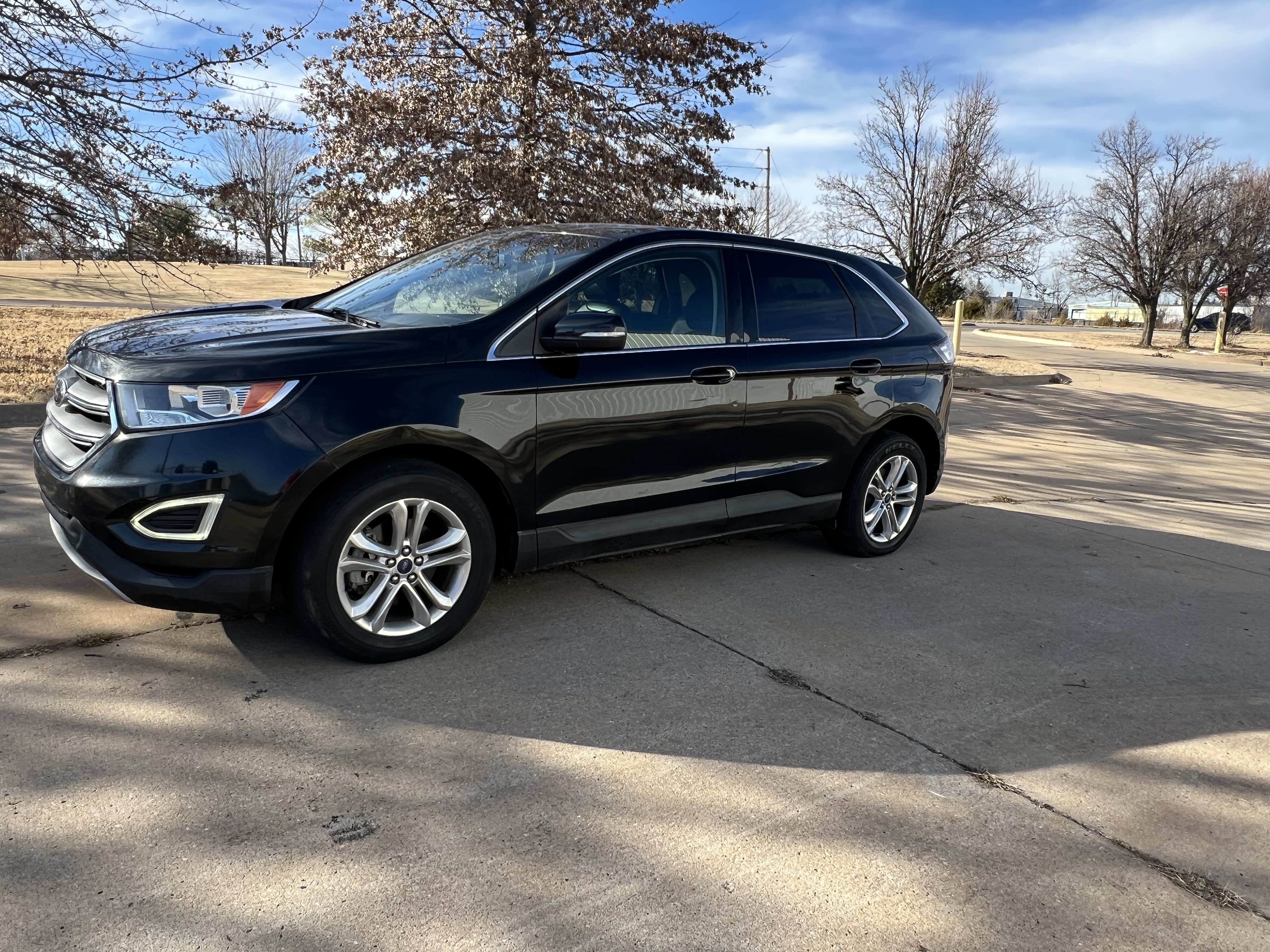 2015 Ford Edge SEL's photo