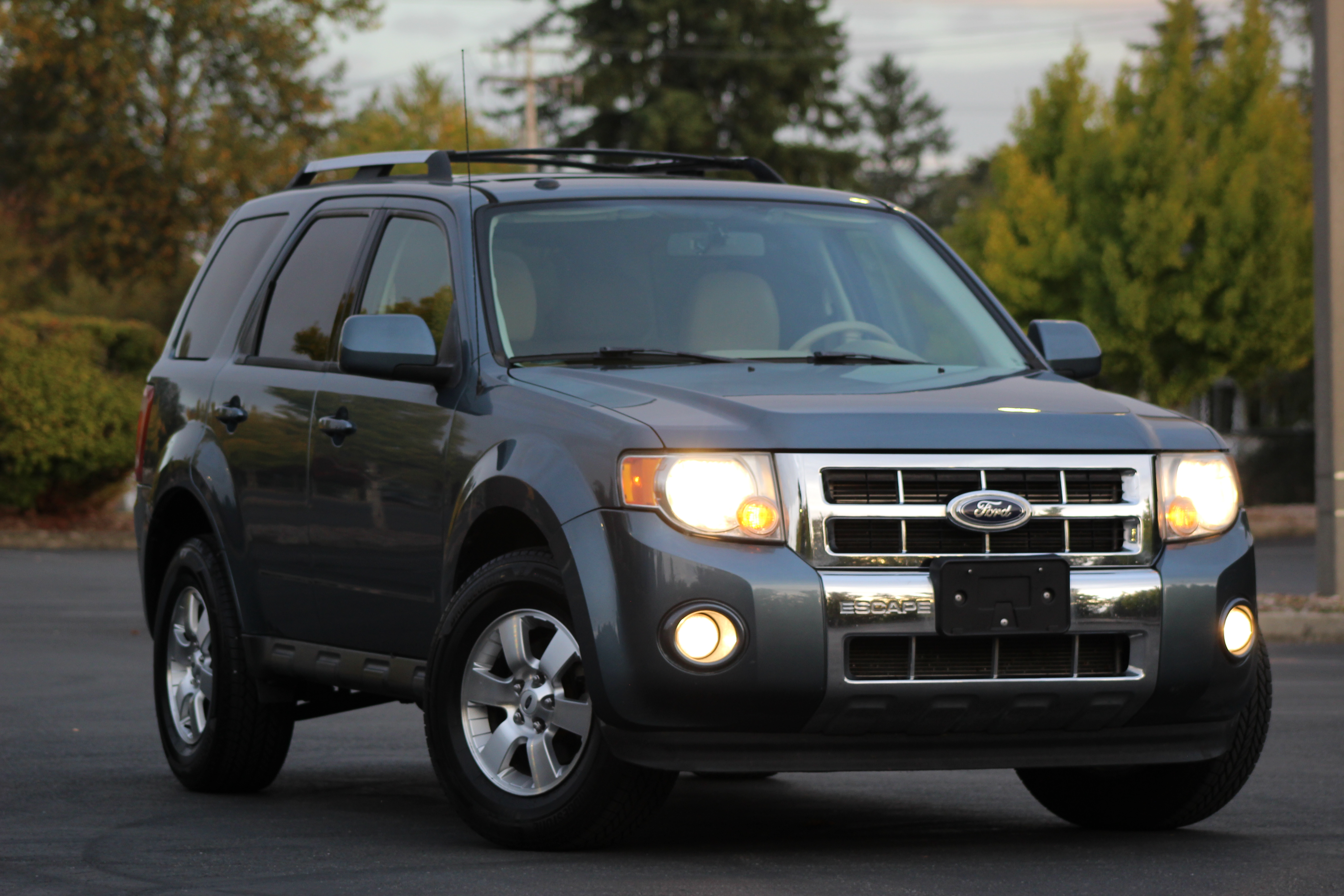 2010 Ford Escape Limited 2.5L's photo