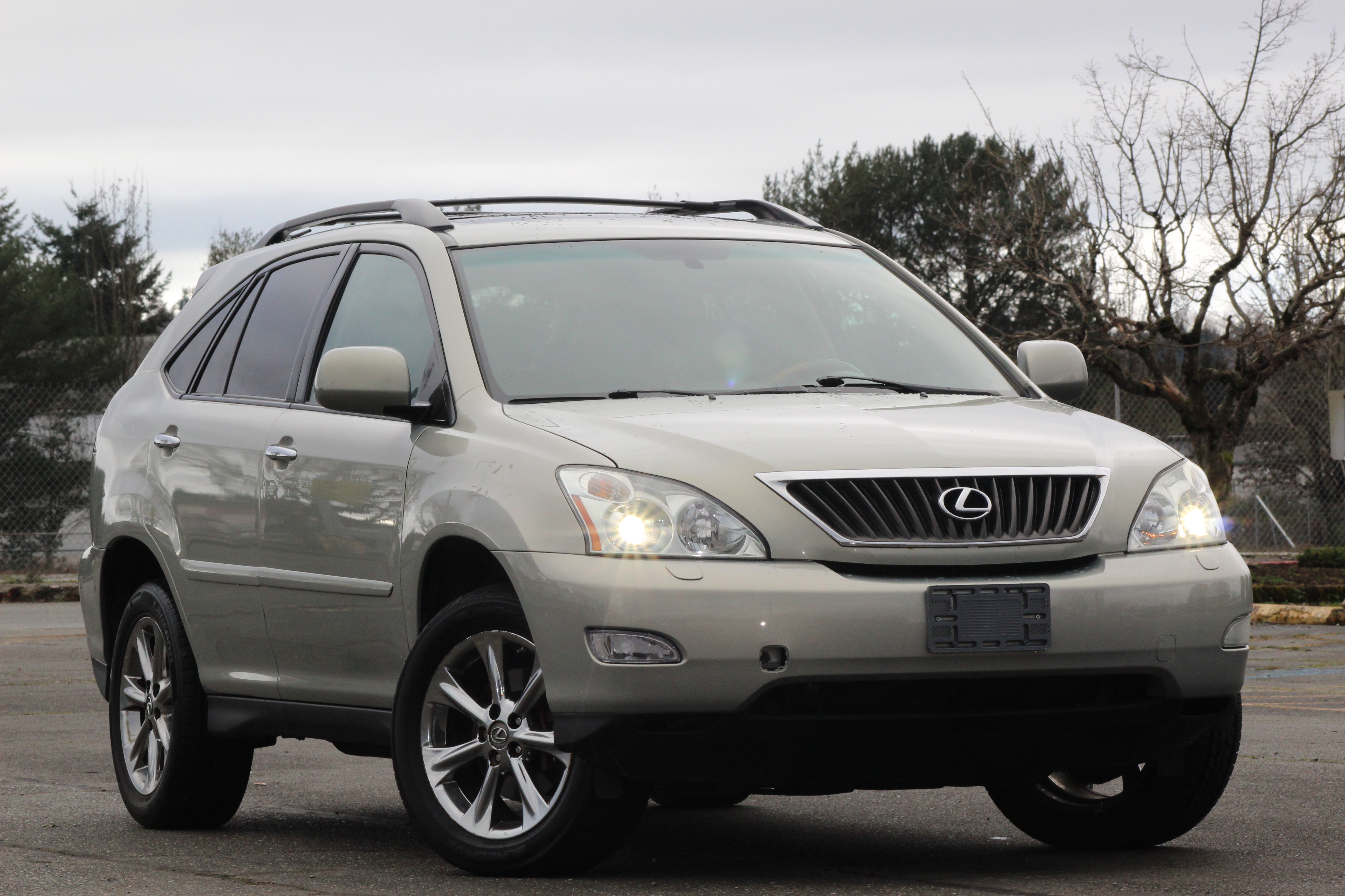 2008 Lexus RX 350 350 AWD's photo