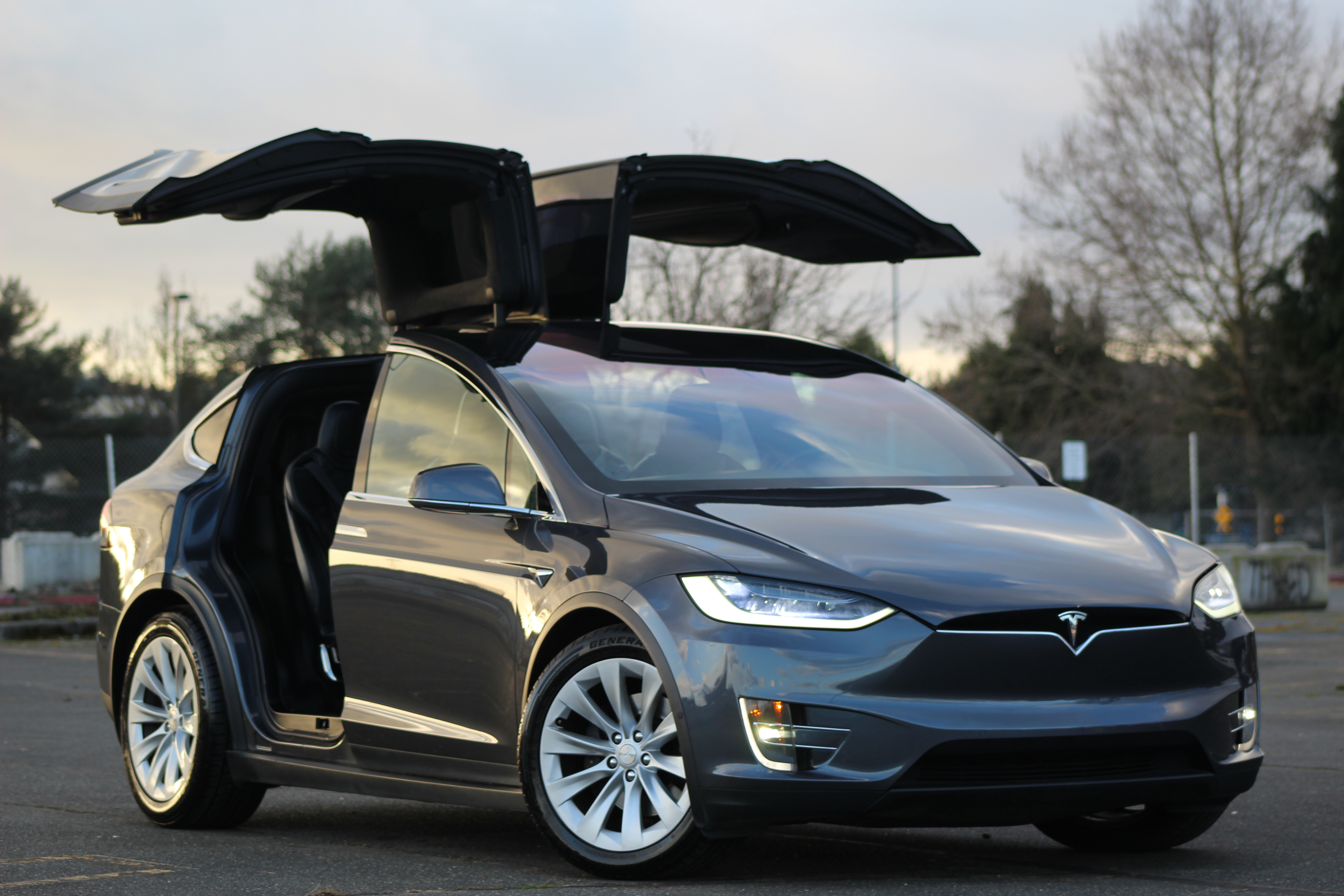 2017 Tesla Model X 75D's photo