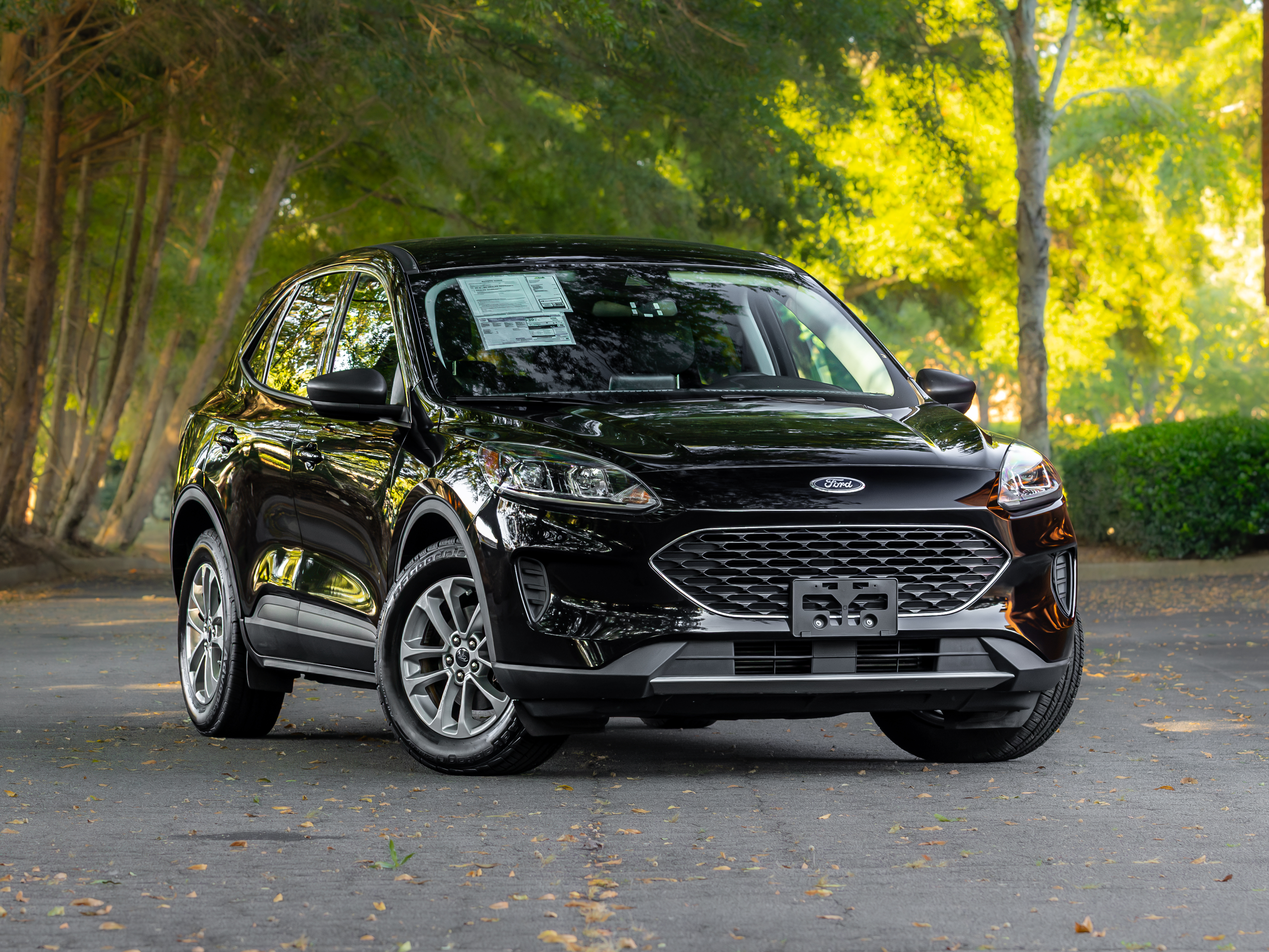 2022 Ford Escape SE FWD