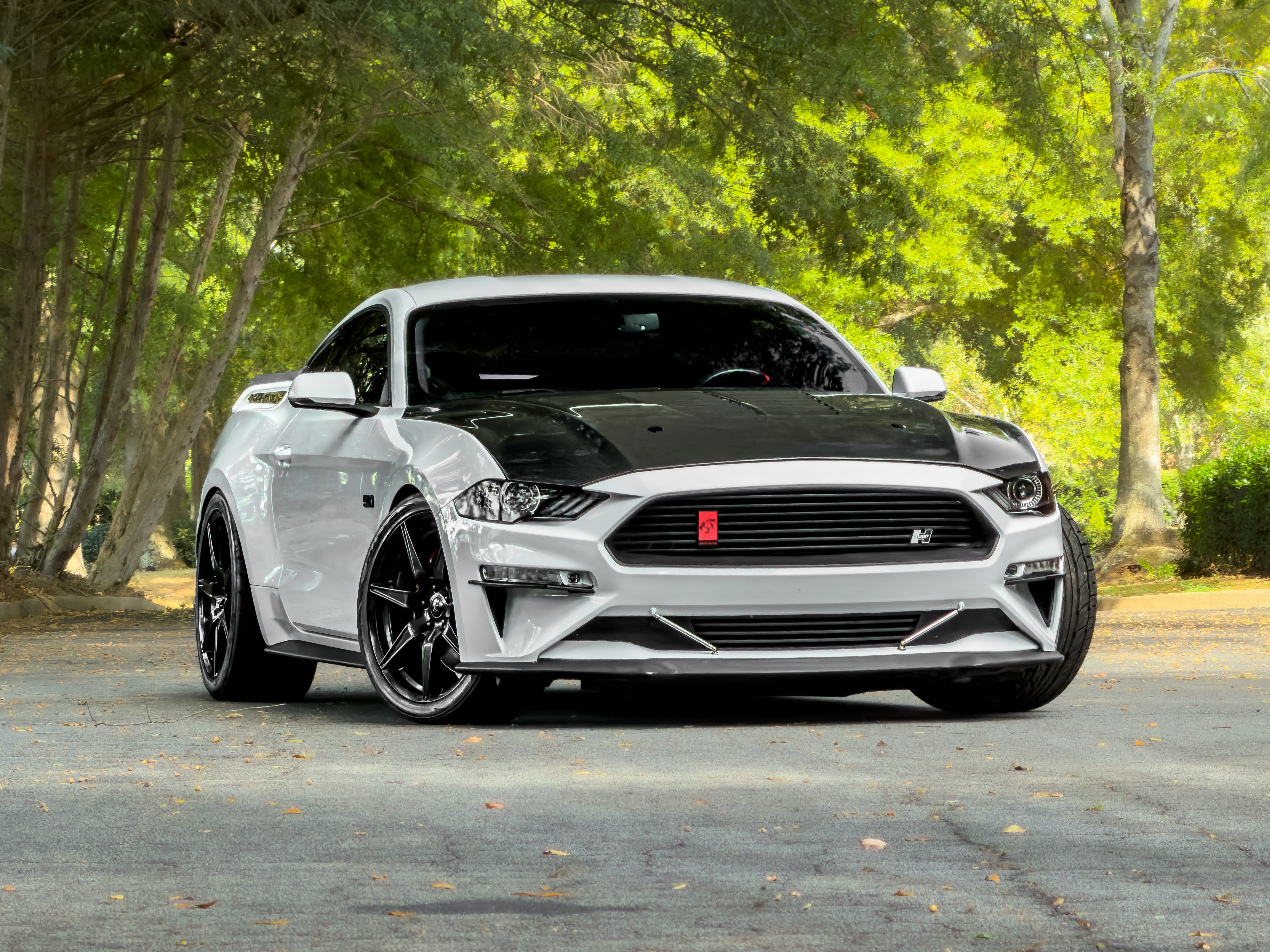  2019 Ford Mustang GT Premium Coupe RWD   
