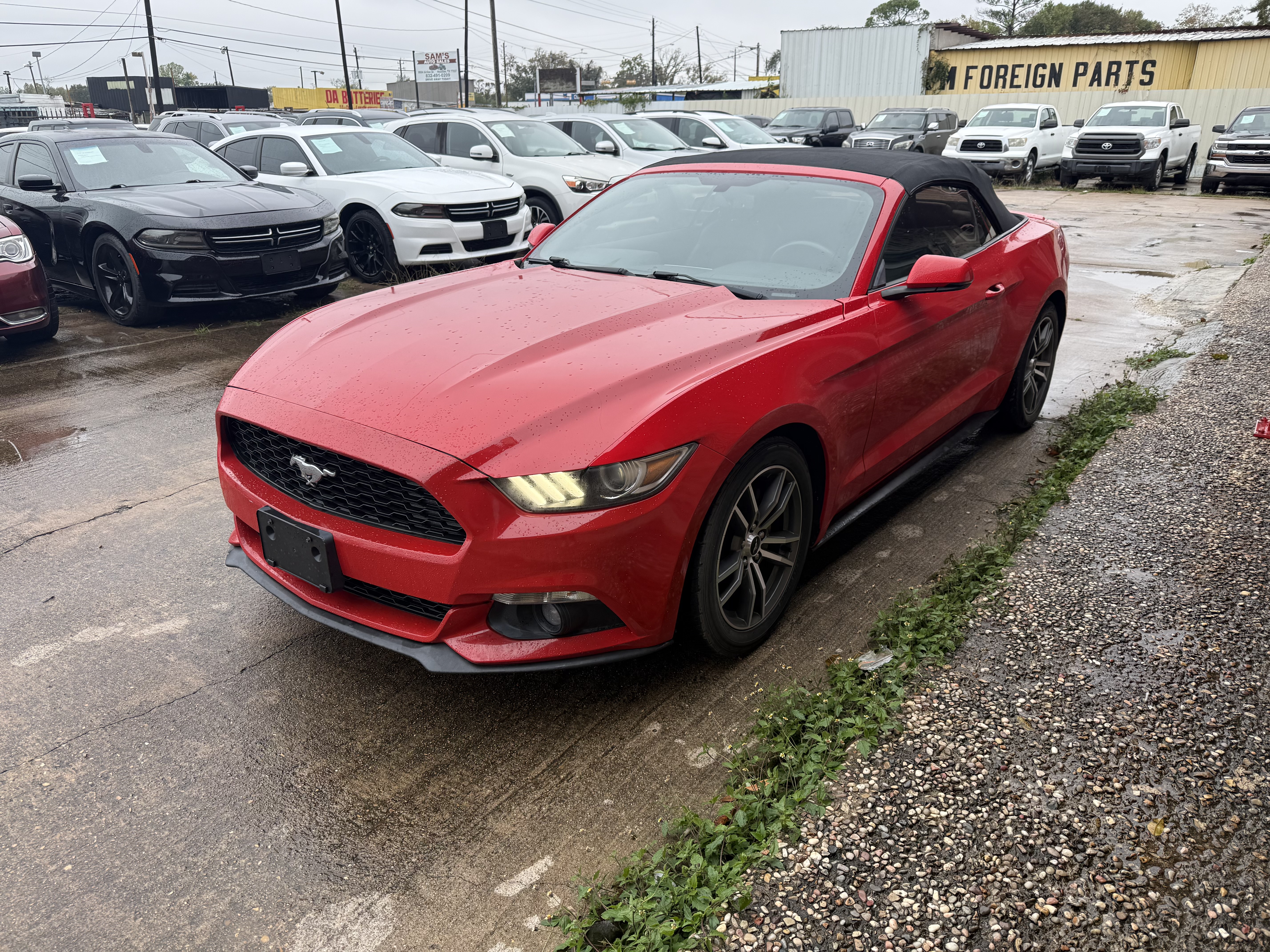 2017 Ford Mustang EcoBoost Convertible Premium's photo