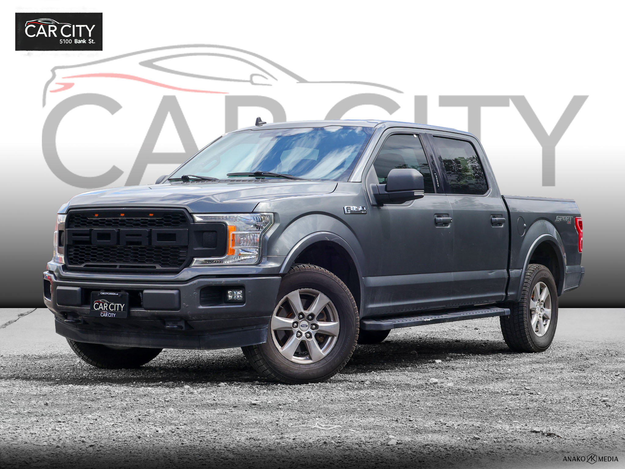 Gray 2019 Ford F-150 Pickup Truck Four-Wheel Drive Automatic
